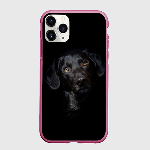 Чехол iPhone 11 Pro матовый Пес / 3D-Малиновый – фото 1