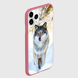 Чехол iPhone 11 Pro матовый Я зимой, цвет: 3D-малиновый — фото 2