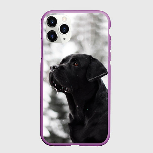 Чехол iPhone 11 Pro матовый Лабрадор Марк / 3D-Фиолетовый – фото 1