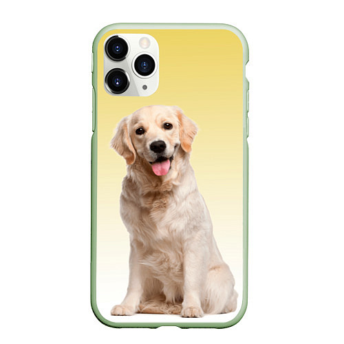 Чехол iPhone 11 Pro матовый Лабрадор ретривер пес / 3D-Салатовый – фото 1