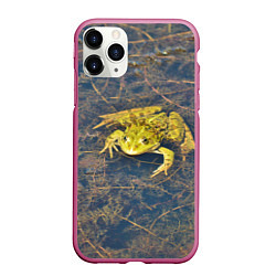 Чехол iPhone 11 Pro матовый Лягушка
