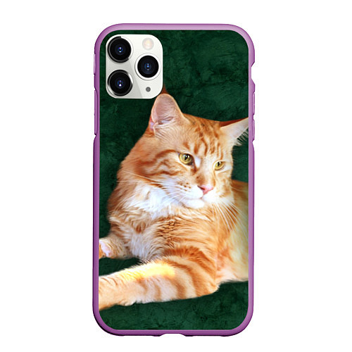 Чехол iPhone 11 Pro матовый Мейн кун рыжий кот / 3D-Фиолетовый – фото 1
