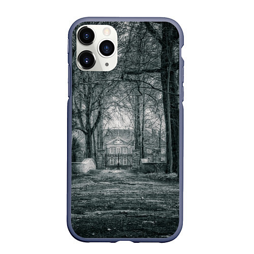 Чехол iPhone 11 Pro матовый Мрачный особняк / 3D-Серый – фото 1