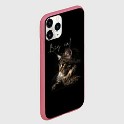 Чехол iPhone 11 Pro матовый Big cat Maine Coon, цвет: 3D-малиновый — фото 2