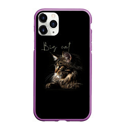 Чехол iPhone 11 Pro матовый Big cat Maine Coon, цвет: 3D-фиолетовый