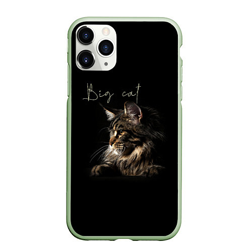 Чехол iPhone 11 Pro матовый Big cat Maine Coon / 3D-Салатовый – фото 1