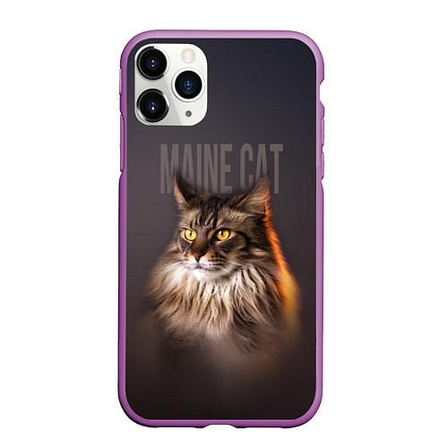 Чехол iPhone 11 Pro матовый Maine cat / 3D-Фиолетовый – фото 1