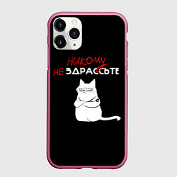 Чехол iPhone 11 Pro матовый Неприветливый кот, цвет: 3D-малиновый