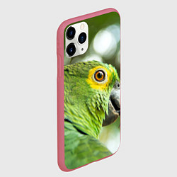 Чехол iPhone 11 Pro матовый Попугaй, цвет: 3D-малиновый — фото 2
