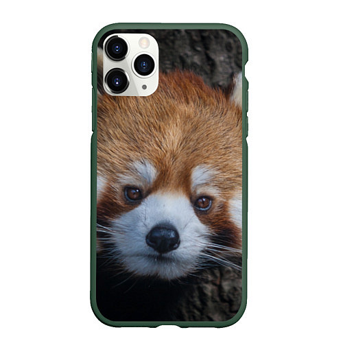 Чехол iPhone 11 Pro матовый Крaсная панда / 3D-Темно-зеленый – фото 1