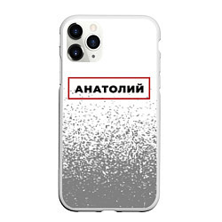 Чехол iPhone 11 Pro матовый Анатолий - в красной рамке на светлом, цвет: 3D-белый