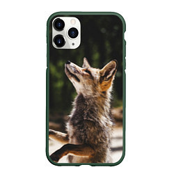 Чехол iPhone 11 Pro матовый Лис на задних лапках
