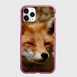 Чехол iPhone 11 Pro матовый Лис дремлет