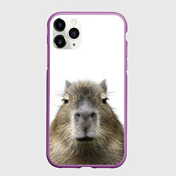 Чехол iPhone 11 Pro матовый Капибара пофигист, цвет: 3D-фиолетовый