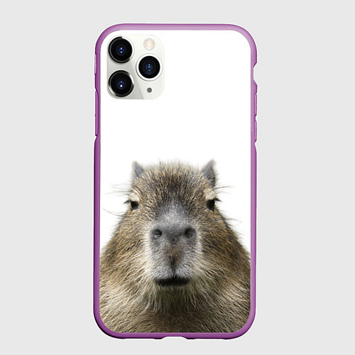 Чехол iPhone 11 Pro матовый Капибара пофигист / 3D-Фиолетовый – фото 1