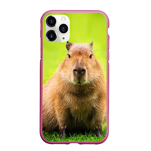 Чехол iPhone 11 Pro матовый Capybara on green grass / 3D-Малиновый – фото 1