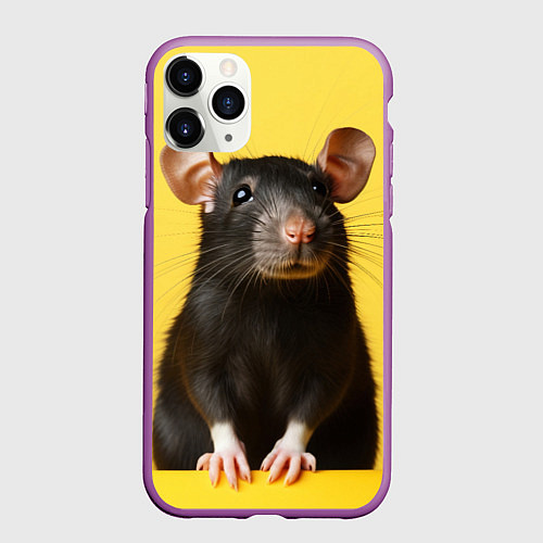 Чехол iPhone 11 Pro матовый Крыса черная / 3D-Фиолетовый – фото 1