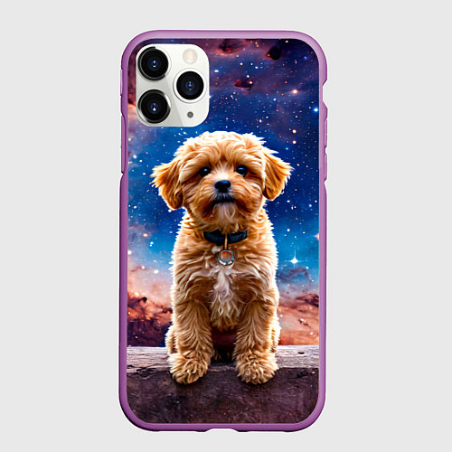 Чехол iPhone 11 Pro матовый Мальтипу в космосе / 3D-Фиолетовый – фото 1