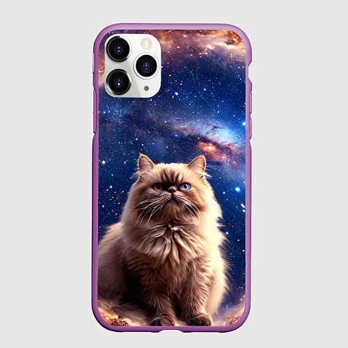Чехол iPhone 11 Pro матовый Гималайская кошка в космосе / 3D-Фиолетовый – фото 1