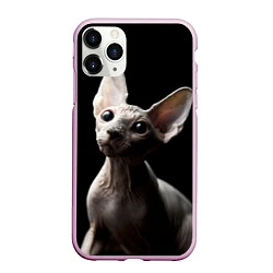 Чехол iPhone 11 Pro матовый Котик сфинкс, цвет: 3D-розовый