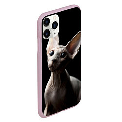 Чехол iPhone 11 Pro матовый Котик сфинкс, цвет: 3D-розовый — фото 2