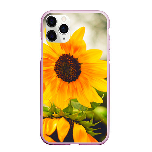 Чехол iPhone 11 Pro матовый Подсолнухи / 3D-Розовый – фото 1