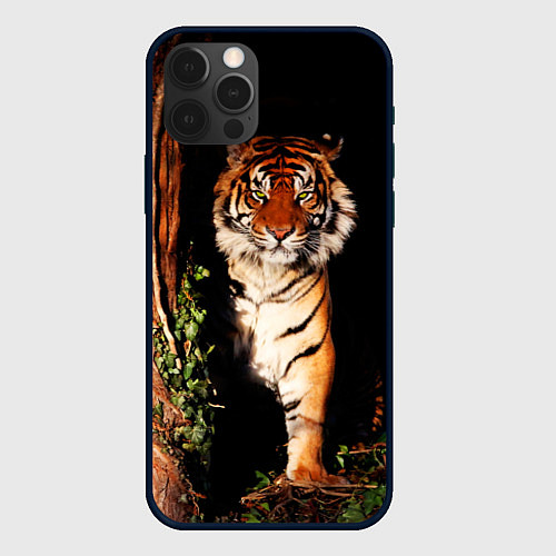 Чехол iPhone 12 Pro Max Тигр выглядывает из темноты - большая картинка / 3D-Черный – фото 1