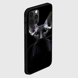 Чехол для iPhone 12 Pro Max Сфинкс 2, цвет: 3D-черный — фото 2