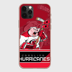 Чехол iPhone 12 Pro Max Carolina Hurricanes