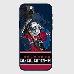 Чехол iPhone 12 Pro Max Colorado Avalanche