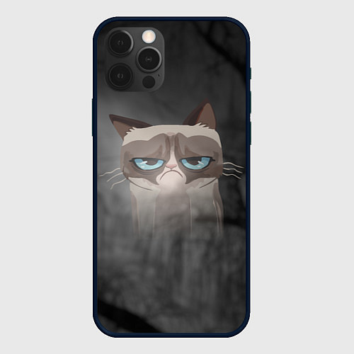 Чехол iPhone 12 Pro Max Grumpy Cat / 3D-Черный – фото 1