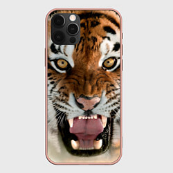 Чехол iPhone 12 Pro Max Свирепый тигр