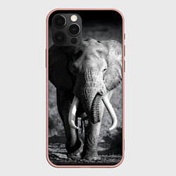 Чехол iPhone 12 Pro Max Бегущий слон