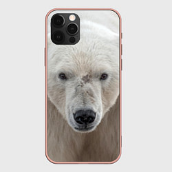Чехол iPhone 12 Pro Max Белый медведь