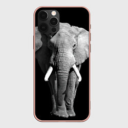 Чехол iPhone 12 Pro Max Старый слон