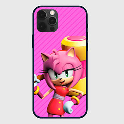 Чехол iPhone 12 Pro Max Amy Rose