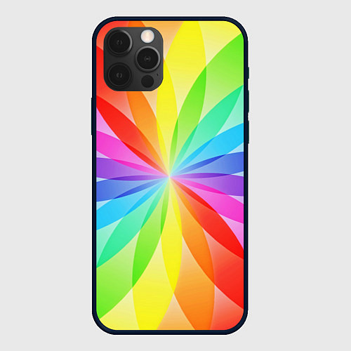 Чехол iPhone 12 Pro Max Радуга / 3D-Черный – фото 1