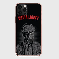 Чехол iPhone 12 Pro Max Gotta light?