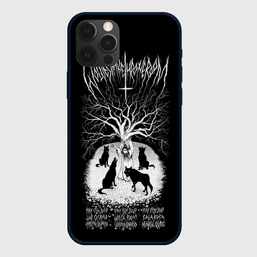 Чехол iPhone 12 Pro Max Wolves in the Throne Room / 3D-Черный – фото 1