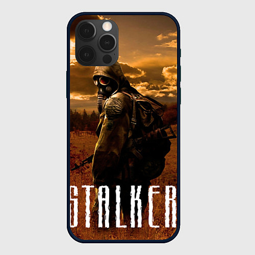 Чехол iPhone 12 Pro Max STALKER: Radiation / 3D-Черный – фото 1