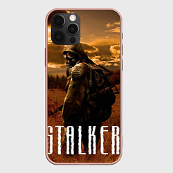 Чехол для iPhone 12 Pro Max STALKER: Radiation, цвет: 3D-светло-розовый