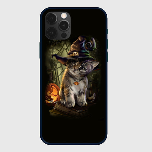 Чехол iPhone 12 Pro Max Ведьмин котенок / 3D-Черный – фото 1
