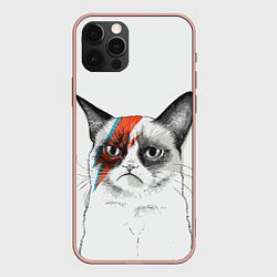 Чехол iPhone 12 Pro Max David Bowie: Grumpy cat
