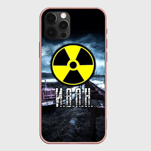 Чехол iPhone 12 Pro Max S.T.A.L.K.E.R: Иван / 3D-Светло-розовый – фото 1