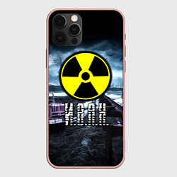 Чехол iPhone 12 Pro Max S.T.A.L.K.E.R: Иван