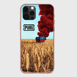 Чехол iPhone 12 Pro Max PUBG Box