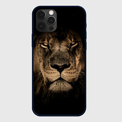 Чехол iPhone 12 Pro Max Львиный взгляд