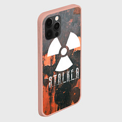 Чехол для iPhone 12 Pro Max S.T.A.L.K.E.R: Orange Toxic, цвет: 3D-светло-розовый — фото 2