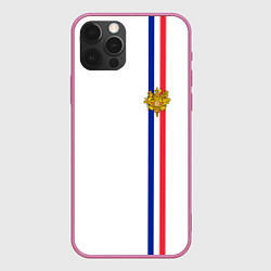 Чехол iPhone 12 Pro Max Франция: лента с гербом