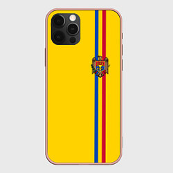 Чехол iPhone 12 Pro Max Молдавия: лента с гербом
